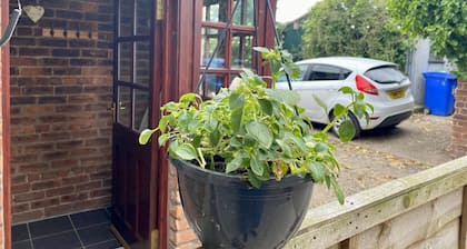 Lovely quiet cottage overlooking the Cheviot Hills, real fire, private gardens