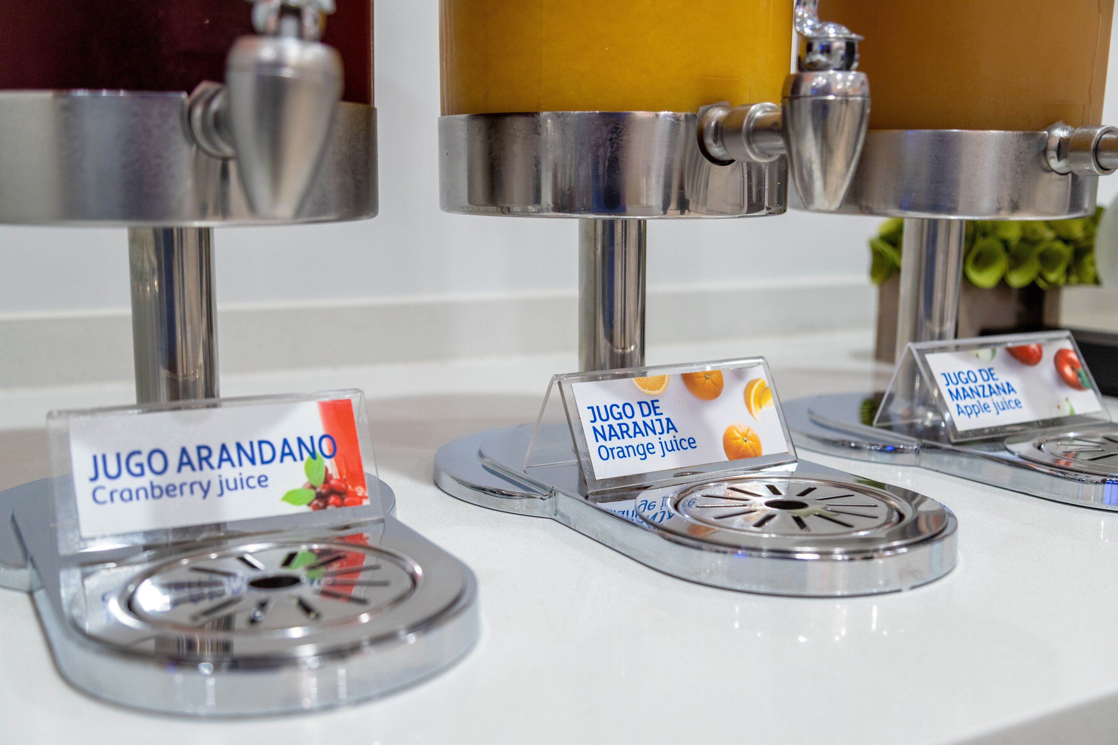 Foto - Holiday Inn Express & Suites - Ensenada Centro by IHG