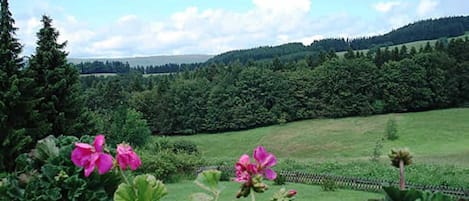 Een uitzicht op een groen veld met een hek en bomen op de achtergrond.