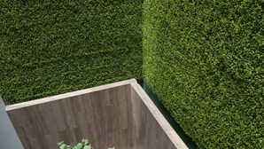 Une plante en pot, placée dans un coin, devant un sol carrelé et un mur vert.