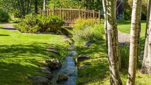 A garden with a small stream, a wooden bridge, and a variety of plants.