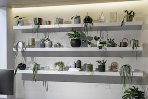 A wall with multiple shelves holding various potted plants and decorative items.