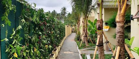 Overnattingsstedets uteområder