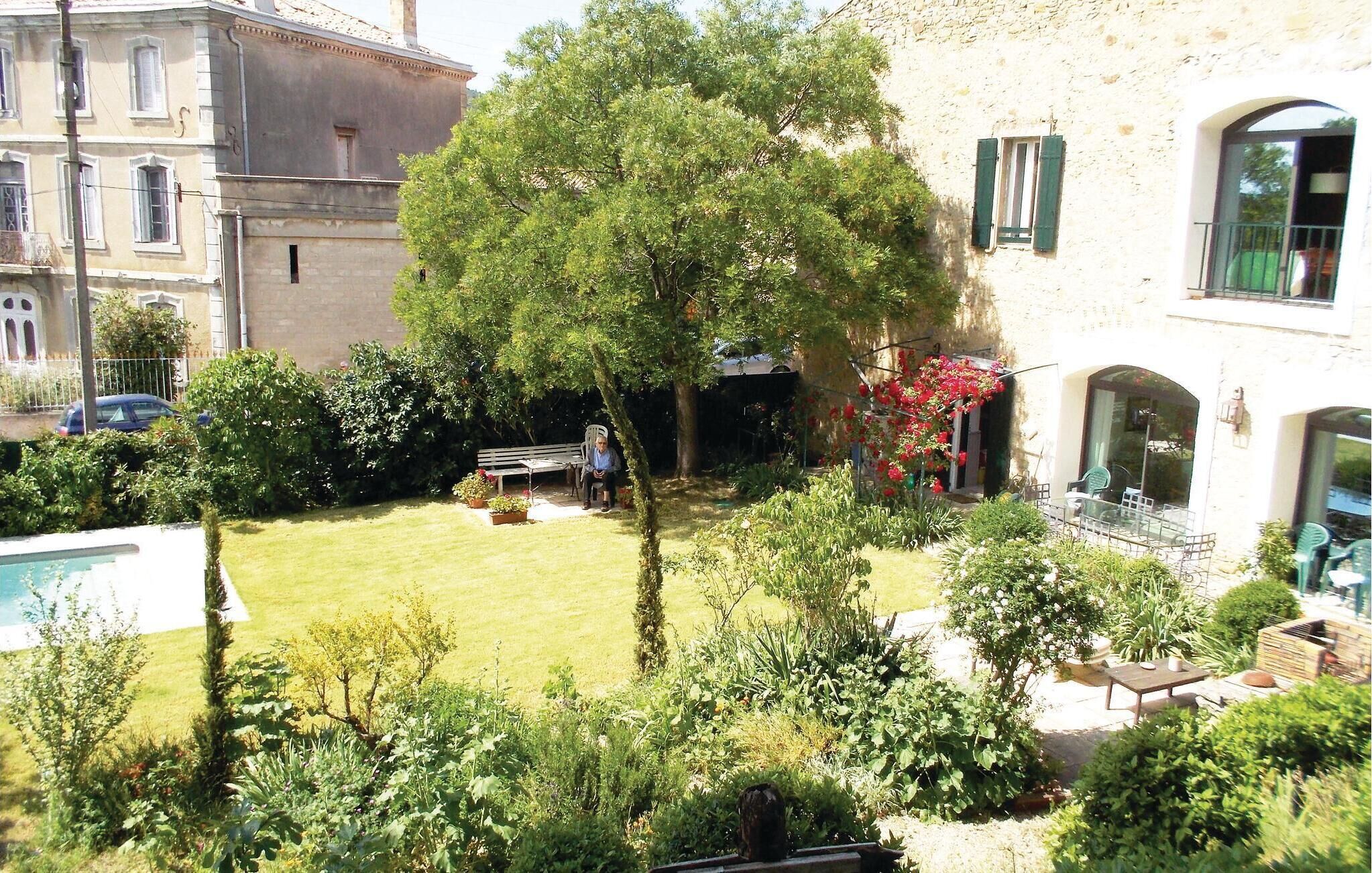 Un pati amb una piscina, envoltat de vegetació exuberant i un gran arbre.