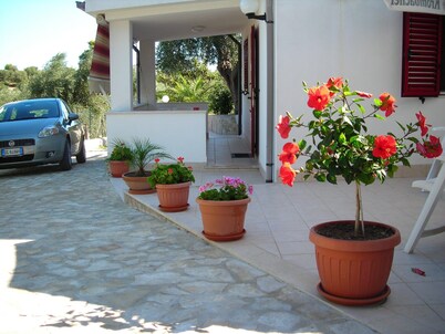 Villa Celeste Vieste- Apartment No. 6