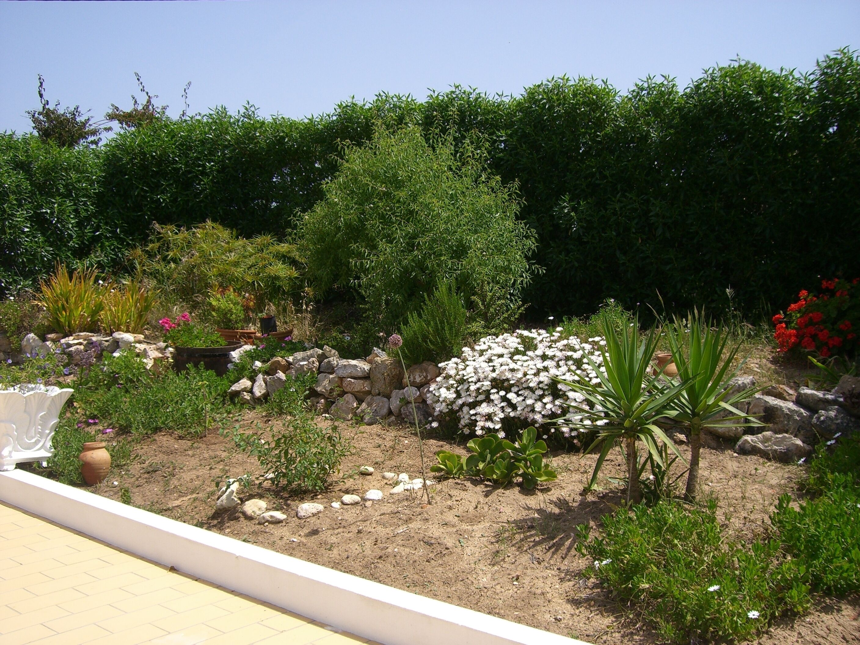 Terrein van de accommodatie