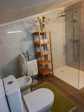 Douche, serviettes fournies