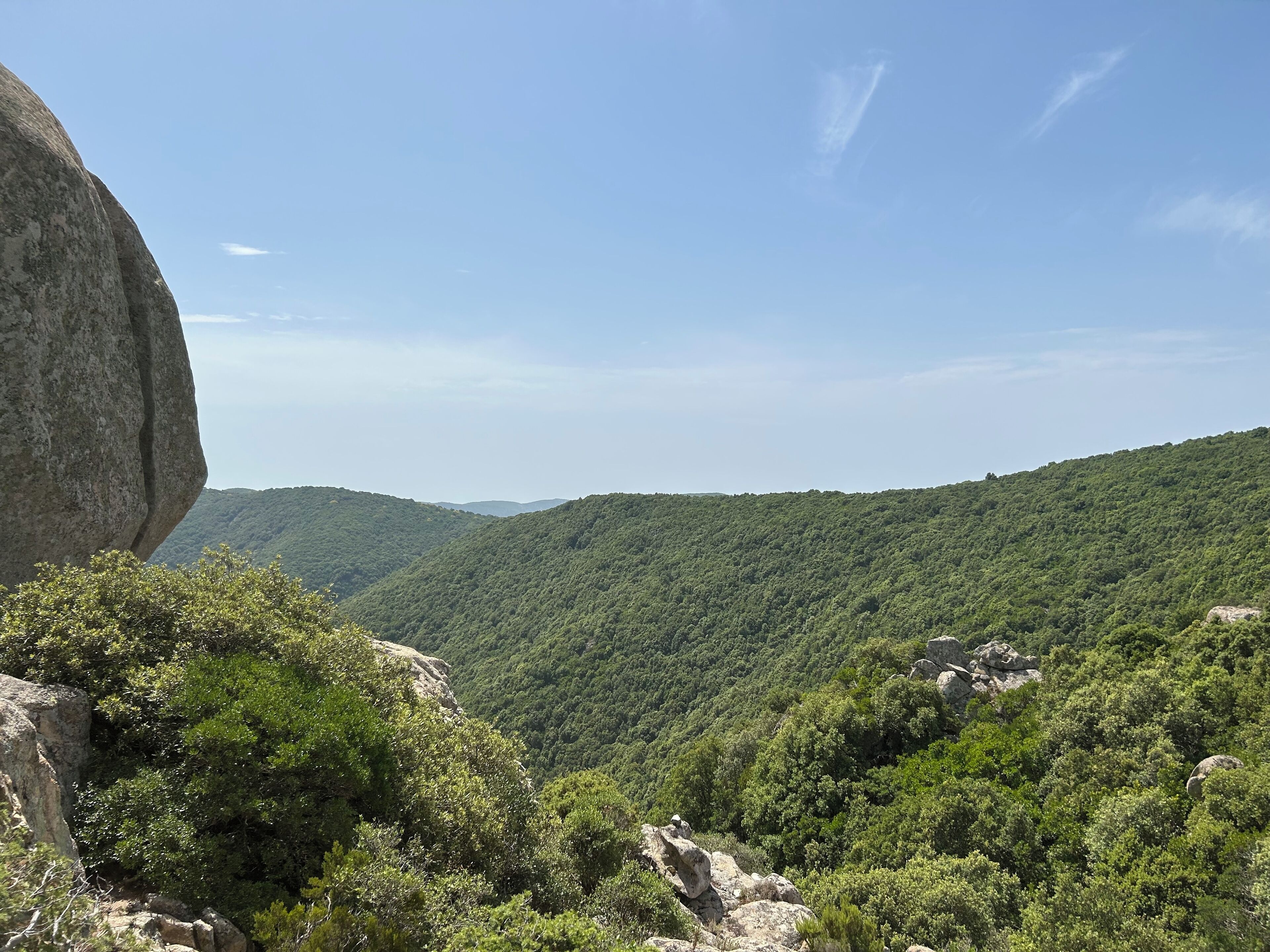 Un paisaje montañoso con densos bosques verdes y afloramientos rocosos.