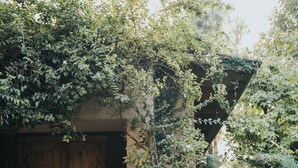 A rustic wooden door with a metal handle, surrounded by lush greenery and a stone pathway leading to a building. - María & Bernardo Casa - Viñedo (El Marques)