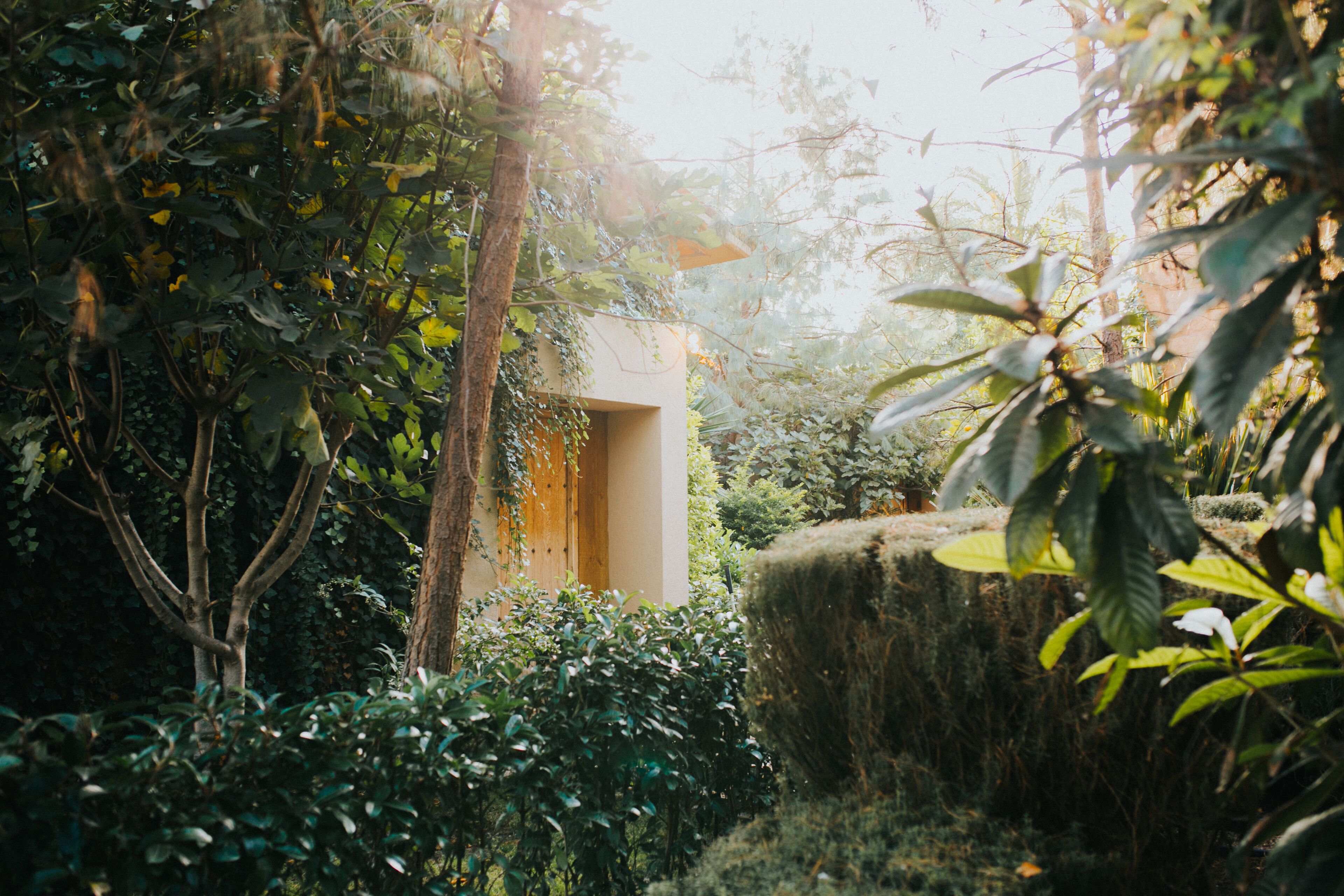 Classic-Bungalow, 2 Doppelbetten, Nichtraucher, Gartenblick | Ausblick vom Zimmer