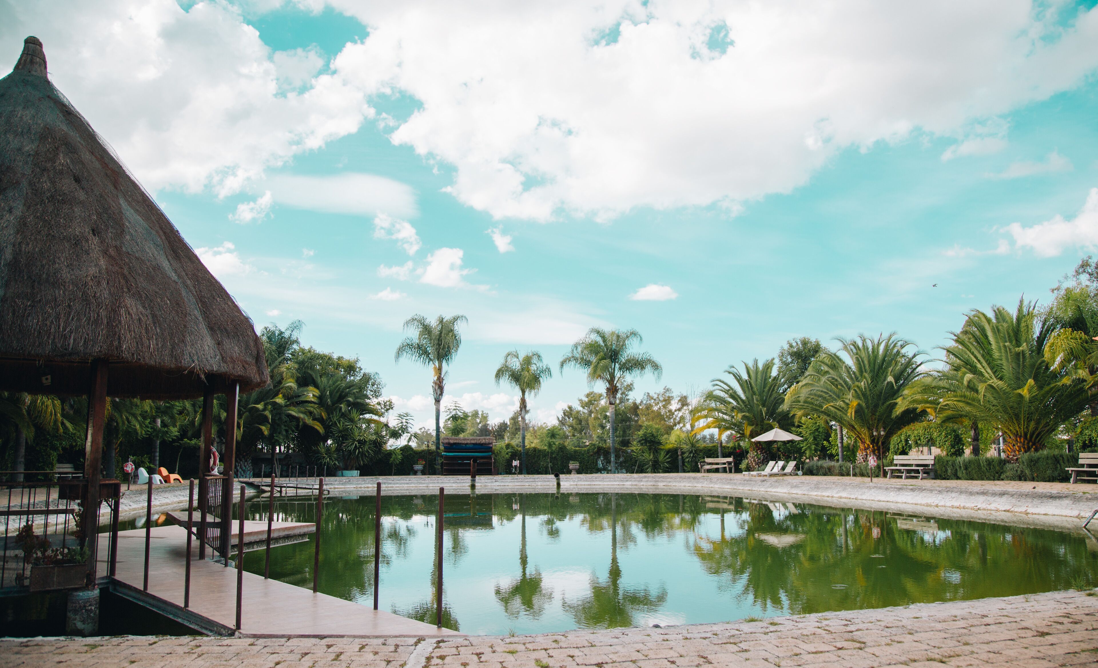 A tranquil pool area with a thatched-roof pavilion, palm trees, and a clear sky.