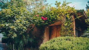 Um jardim exuberante com uma porta de madeira, rodeado por folhagem densa e diversas plantas.