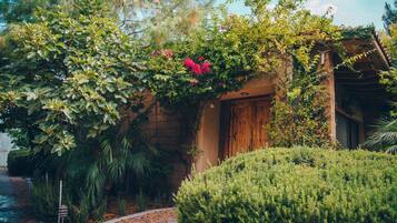 Un jardin luxuriant avec une porte en bois, entouré d’un feuillage dense et d’une grande variété de plantes.