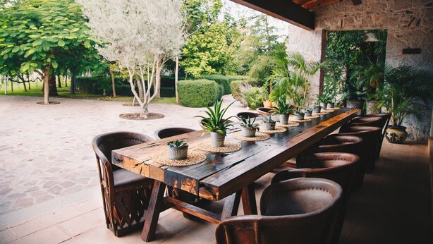 An outdoor patio with a long wooden table and chairs, surrounded by potted plants and trees. - María & Bernardo Casa - Viñedo (El Marques)