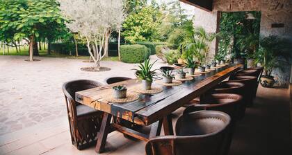 María & Bernardo Casa - Viñedo