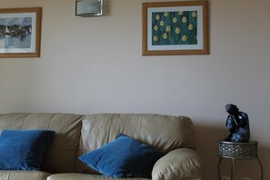 TV, books