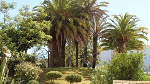 A lush garden with tall palm trees and various shrubs.