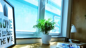 A room with a window, a potted plant, a framed sign, a desk lamp, and a bowl on the windowsill. - Chez Tram Homestay (Hanoi)