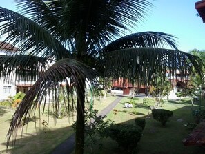 Land view from property