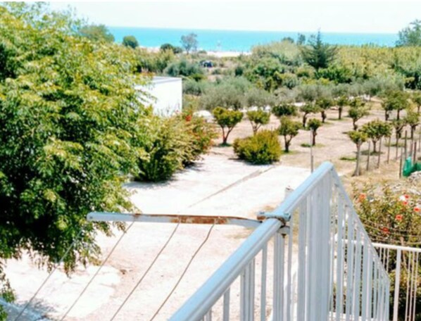 Terrain de l’hébergement 
