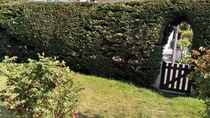 A residential area with a hedge-covered wall, a paved pathway, and a black gate.