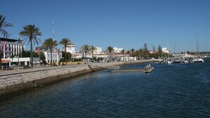 Un puerto deportivo frente al agua con barcos, un muelle de piedra y palmeras.