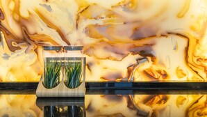 A glass vase with green plants on a reflective surface. - Waou Malasaña es MIA - Corta Duración (Madrid)