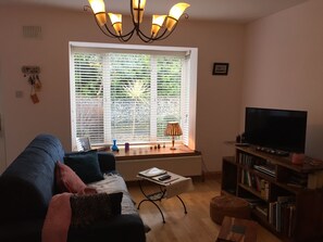 Télévision, lecteur de DVD, livres, chaîne hi-fi