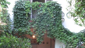 Ein Innenhof mit Tisch und Stühlen, umgeben von Kübelpflanzen und einer mit Kletterpflanzen bewachsenen Mauer.