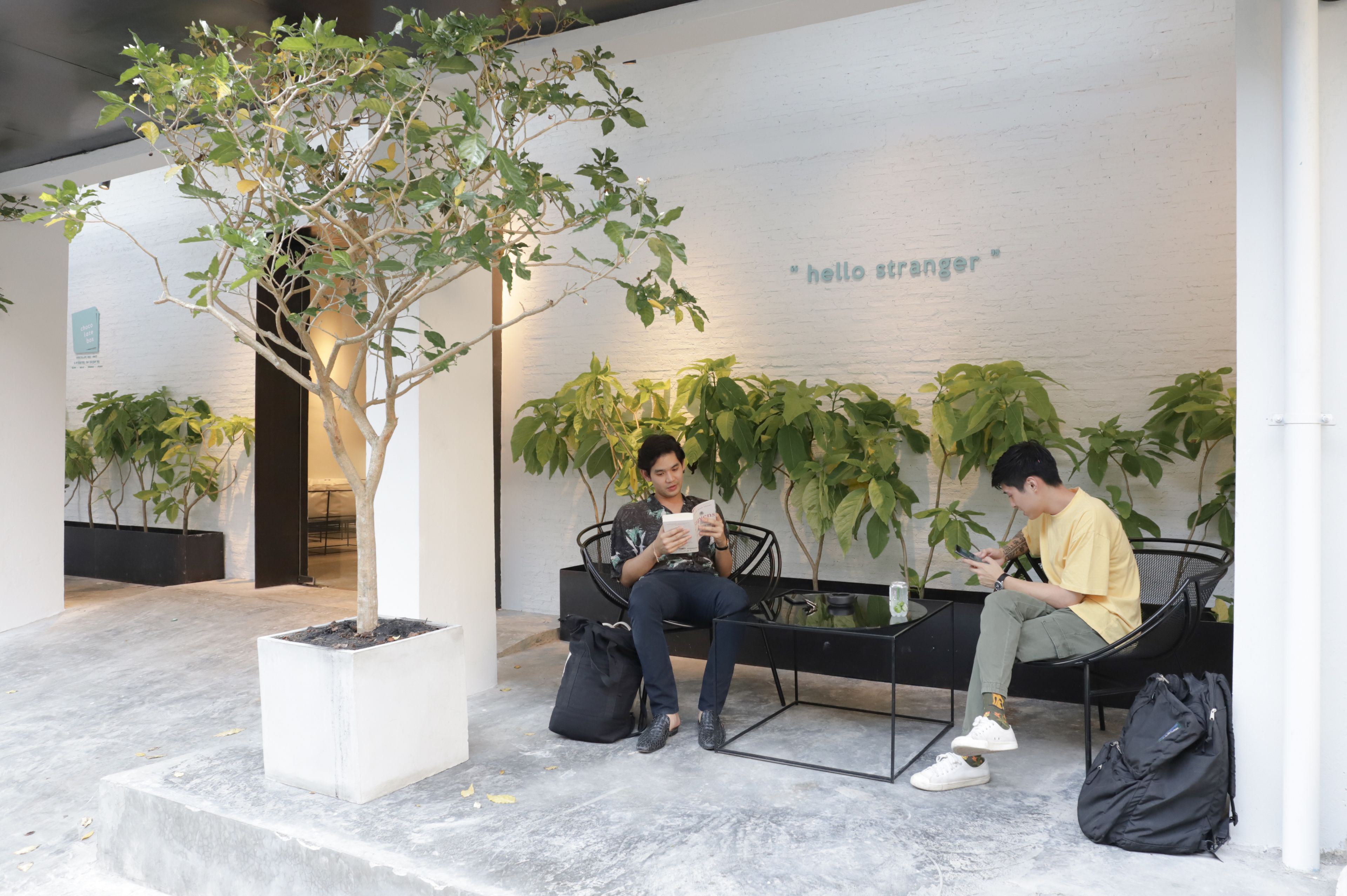 Foto - Chocolate box mint