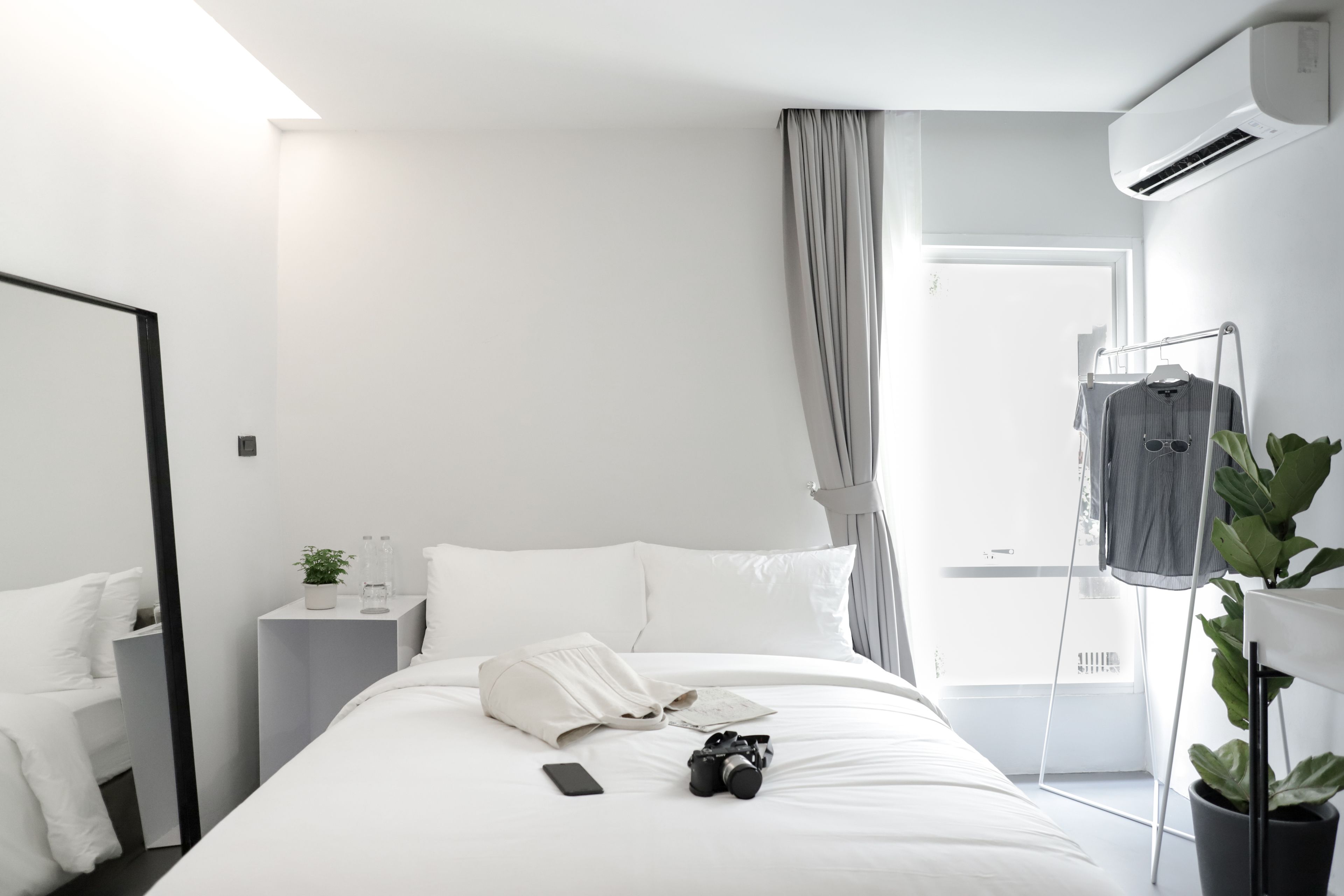 Foto - Chocolate box mint