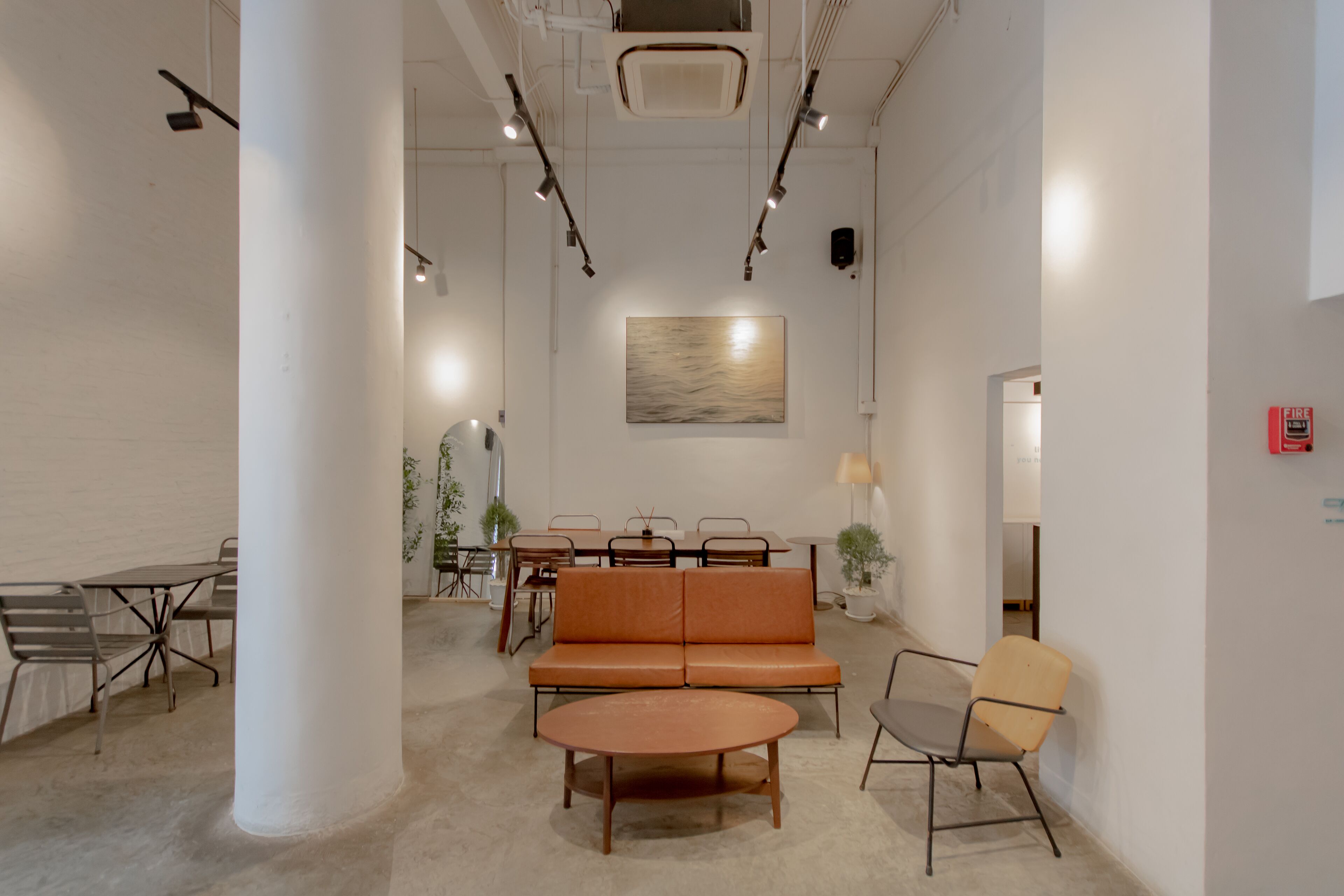 Foto - Chocolate box mint