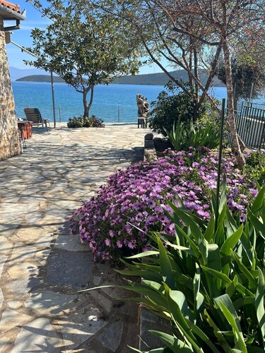 Little Bit of Heaven, includes 2 kayaks and paddle board at no extra charge.