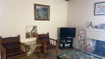 Televisión, chimenea y libros