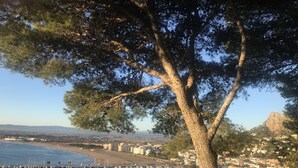 Une ville côtière dotée d’un port de plaisance, de bâtiments et d’un arbre remarquable.