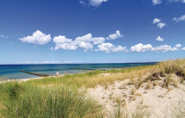 In Strandnähe, Angeln