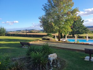 Property grounds - Conditioning independant cottage in the countryside close to all amenities (Castéra-Verduzan)