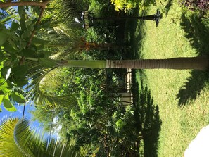 Stroll through the serene garden, surrounded by lush tropical plants and palm trees.