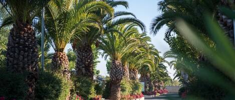 Enceinte de l’hébergement