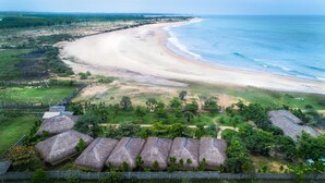 A beach resort with thatched-roof huts, a sandy beach, and a view of the ocean. - Blue Waters Arugambay (Pottuvil)