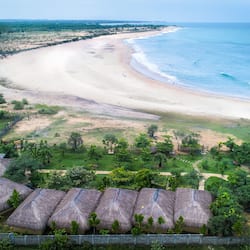 Guests can enjoy ocean views from elevated accommodations surrounded by lush greenery and a sandy beach.