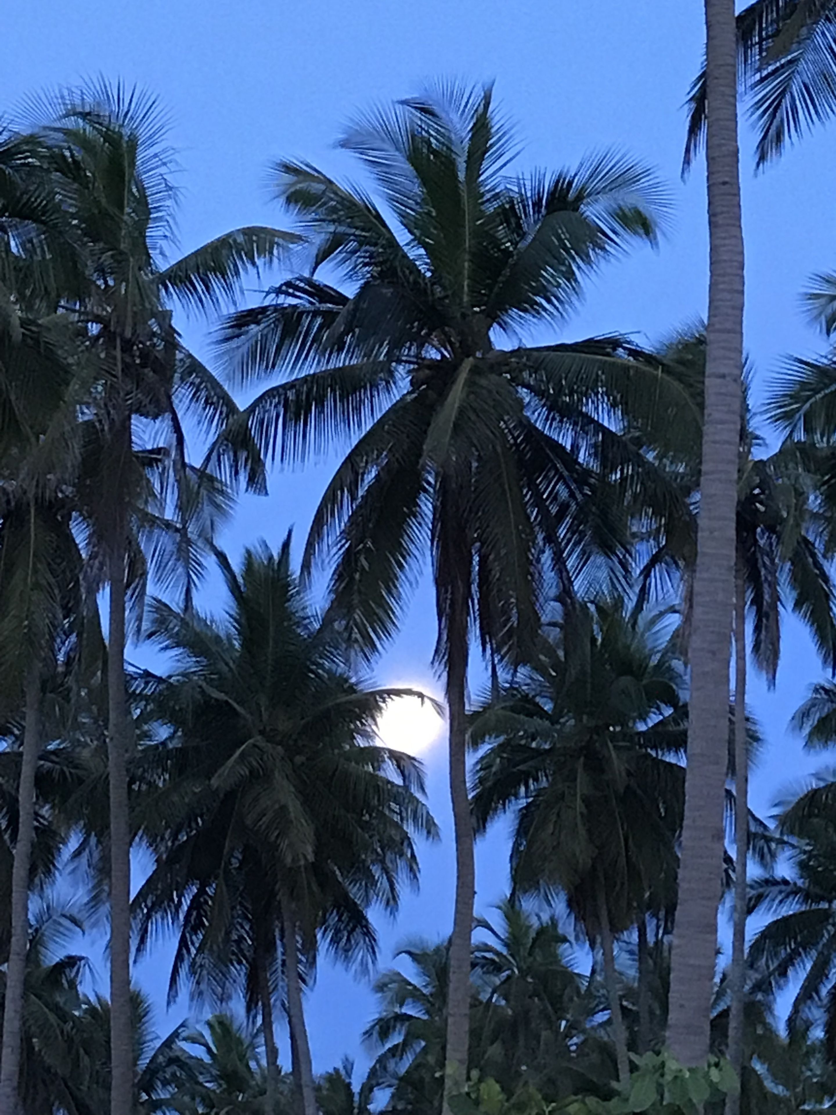 住宿正面
