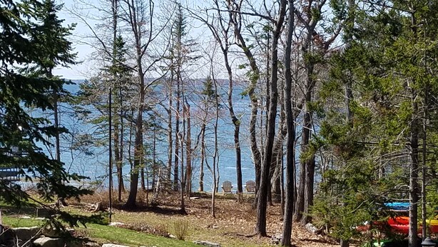 Vista de un lago con árboles, un sendero pavimentado y una orilla lejana.