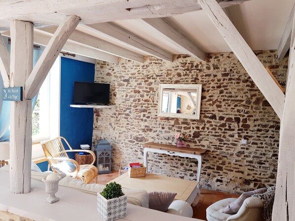 TV, fireplace, books