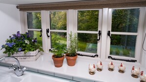 A kitchen with a window, a sink, and a potted plant arrangement.