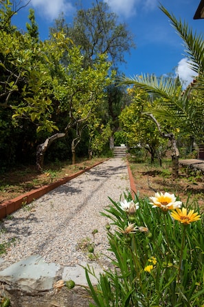 A gravel pathway flanked by lush greenery and trees, leading to a building in the distance. - Villa with pool and beach access (Capoliveri)
