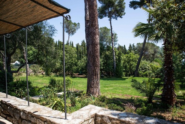 Een stenen muur, een metalen pergola en diverse bomen in een aangelegde tuin.