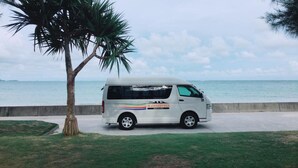 Una camioneta blanca estacionada junto a la playa con una palmera cerca.