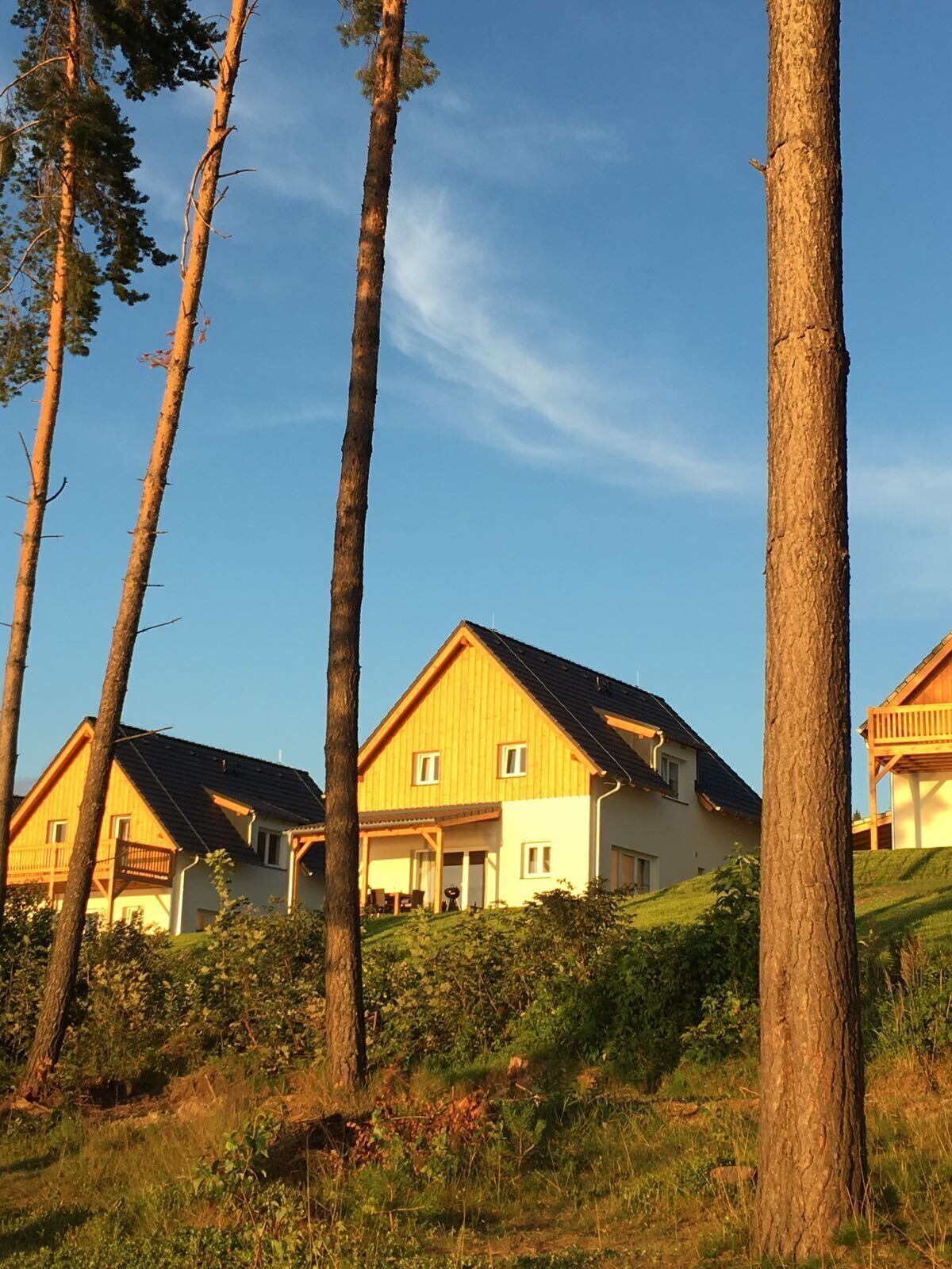 Una hilera de casas de madera con techos inclinados, rodeadas de árboles y vegetación.