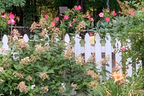 Parco della struttura